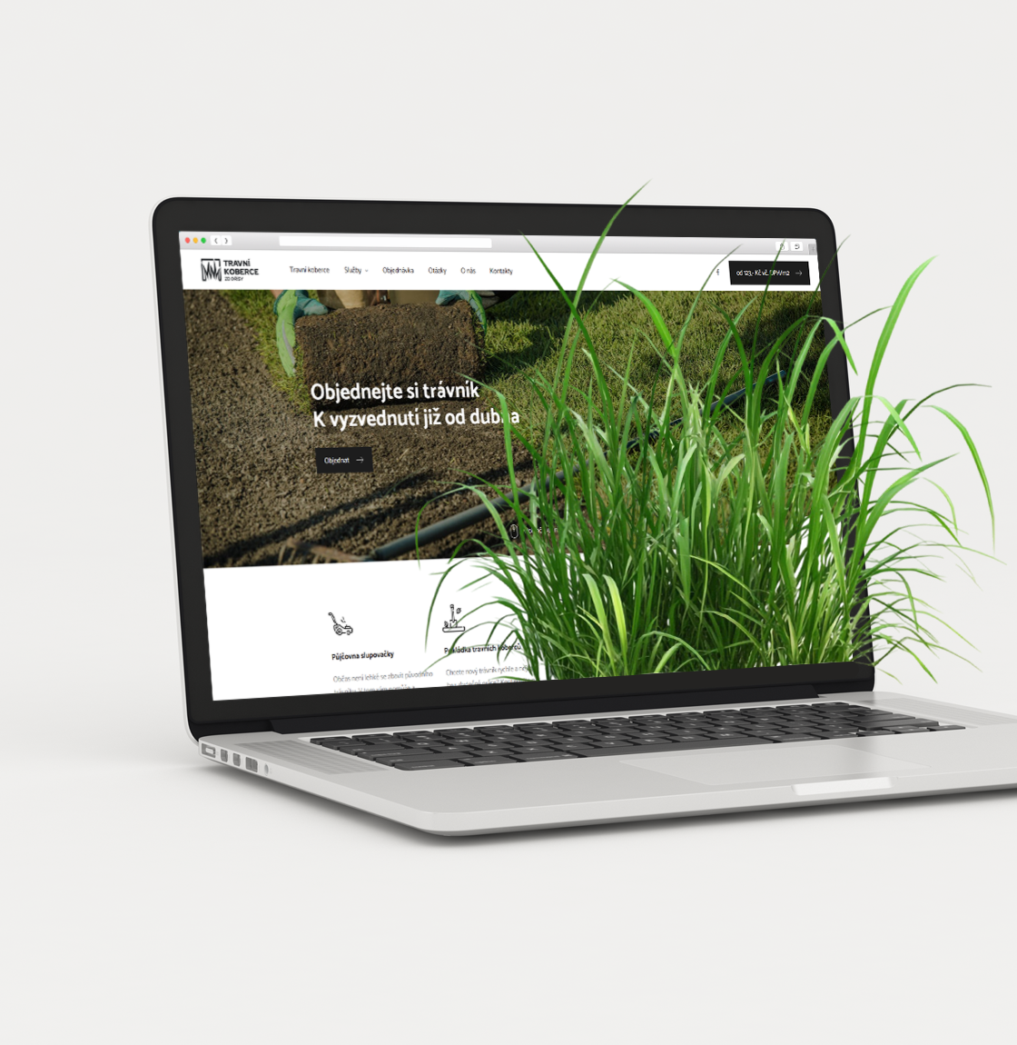 Firemní web Travní koberce